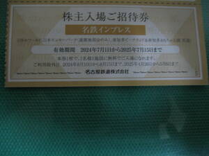 10枚 名鉄インプレス 名古屋鉄道 株主優待券 株主入場招待券 リトルワールド 日本モンキーパーク 南知多ビーチランド おもちゃ王国 即決