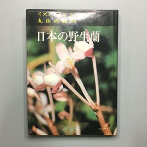 『日本の野生蘭』東京新聞出版 イズミエイコ・丸山尚敏　初版