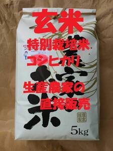 ★[玄米]特別栽培米コシヒカリ５kg生産農家の直接販売