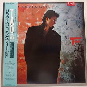 即決 美品 リック・スプリングフィールド　TAO　帯付き 見本盤　RICK SPRINGFIELD　 YA 