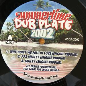 Unknown Artist / Summertime Dub Plate 2002　[Not On Label - #SDP-2002]