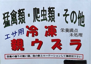 ★ 国産 冷凍 ”未処理 親ウズラ 栄養抜群” うずら★ 一袋 10羽入り