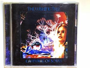 英国叙情派　※ ウィッシング・トゥリー　※ カーニヴァル・オブ・ソウルズ　※ 国内盤CD THE WISHING TREE