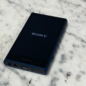 ☆SONY ソニー YY1301B1 NW-A306 ウォークマン