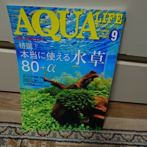 月刊アクアライフ 2010年09月号 No.374 AQUA LIFE #水草#ガーパイク#テトラ#水生昆虫#ディスカス#ハゼ#