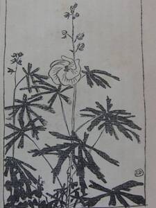 石井柏亭、草の花(1)、明治、希少な額装用画集より、新品高級額装付、状態良好、送料無料、mori