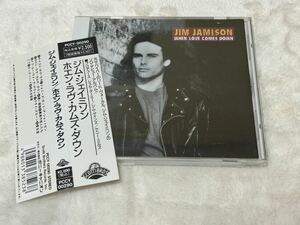 Jim Jamison When Love Comes Down ジムジェイミソン ジミジェイミソン Jimi JamisonSurvivor サバイバー PCCY00290 サンプル盤