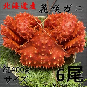 【訳あり】花咲がに　6尾（約400ｇサイズ）　ボイル　北海道産　花咲ガニ　かに　蟹　はなさきがに