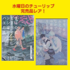 五伏　虎伏　呪術廻戦　同人誌　五条悟×伏黒恵　虎杖悠仁×伏黒恵　水曜日のチューリップ　完売品　レア　　※まとめ売り出品中！