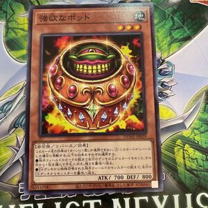 遊戯王　ノーマル　DUNE-JP029　強欲なポッド　DUELIST NEXUS