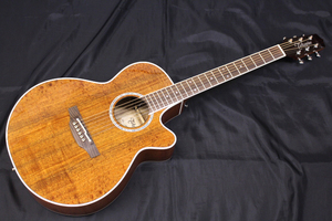 新品 Takamine(タカミネ) / PTU131KC N 100シリーズ エレクトリック・アコースティックギター/エレアコ ※一部地域を除いて送料無料です。