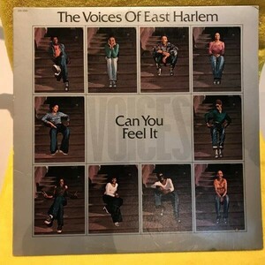 VOICES OF EAST HARLEM「CAN YOU FEEL IT」LP