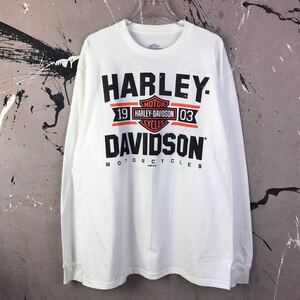 ロンT 長袖Tシャツ HARLEY DAVIDSON XL Tシャツ 送料無料