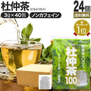 杜仲茶 とちゅう茶 茶葉 ティーパック ティーバッグ ダイエット ダイエット食品 3g*40包*24個セット 送料無料 宅配便