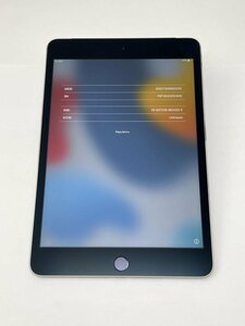 K235【ジャンク品】 iPad mini4 128GB docomo スペースグレイ