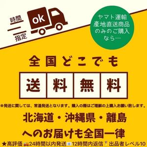 干し芋　茨城ひたちなか産　訳あり　紅はるか　平干しB級　箱込み2kgx2個セット