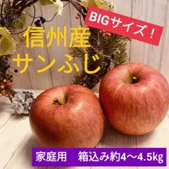 [4]【家庭用】長野県産大玉りんご　サンふじ　箱込み約4〜4.5㎏