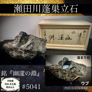 【信濃美術石博物館】水石 盆栽 瀬田川蓬巣立石 ウブ 銘『幽邃の淵』溜まり石 湖沼石 桐箱付 横24(cm) 3.58kg骨董盆石古美術5041