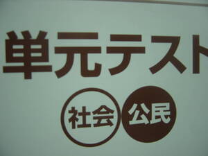 単元テスト　社会　公民　解答付