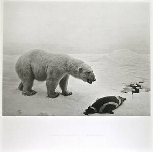 真作保証 ☆ 杉本博司 ☆ ポスター ☆ POLAR BEAR ☆ STARS展 ☆ ポーラー ベア HIROSHI SUGIMOTO シロクマ 森美術館 