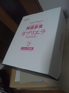 開封検品のみ インサイト(insight)【EC限定100体】肉感少女 ガブリエラ 1/5 シリアルナンバー入り