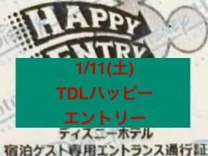 未使用 1枚 1/11(土) ハッピーエントリー 通行証 ディズニーランド ディズニーリゾート ディズニーランド ディズニーシー TDR