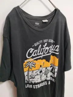 リーバイス 古着
Tシャツ ユニセックス
カラー:ブラック
サイズ:M