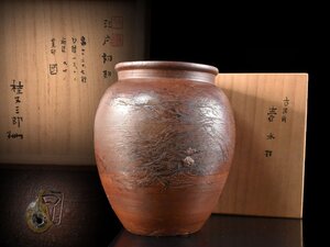 【雲】某名家蔵出 江戸初期 古備前 窯変 花瓶 飾壷 高さ21cm 桂又三郎識箱 古美術品(水指旧家蔵出)AY2637 OT3g5s CTO8edh7