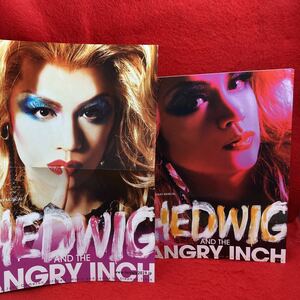 ▼HEDWIG AND THE ANGRY INCH 2019 MUSICALミュージカル パンフレット 浦井健治 女王蜂 アヴちゃん DURAN YUTARO 楠瀬タクヤ チラシ1枚付き