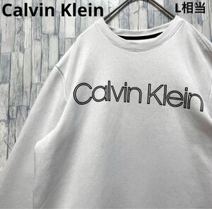 Calvin Klein カルバンクライン トレーナー スウェット サイズS 長袖 デカロゴ ビッグロゴ ホワイト プルオーバー 裏起毛 メンズ L相当