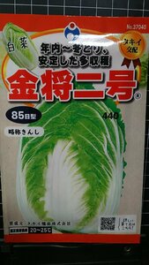 ３袋セット 金将 二号 白菜 ハクサイ 85日 種 郵便は送料無料