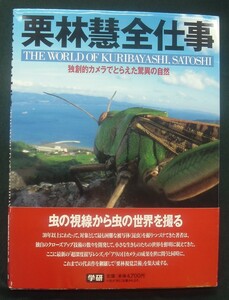 【 栗林慧全仕事 独創的カメラでとらえた驚異の自然 】学研 THE WORLD OF KURIBAYASHI,SATOSHI 虫の視線から虫の世界を撮る