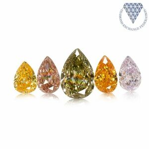 合計 0.94 ct 天然 カラー ダイヤモンド 5 ピース GIA 1 点 付 マルチスタイル / カラー FANCY DIAMOND 【DEF GIA MULTI】