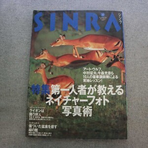 特2 51570 / SINRA［シンラ］1997年10月号 特集:第一人者が教えるネイチャーフォト写真術 ライオンは闘う狩人 巨鯨と銛打ちの物語