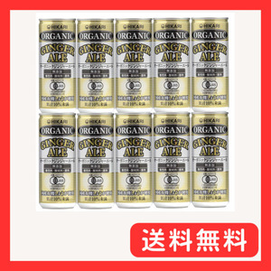 光食品 ヒカリ オーガニックジンジャーエール オーサワジャパン 250ml×10個