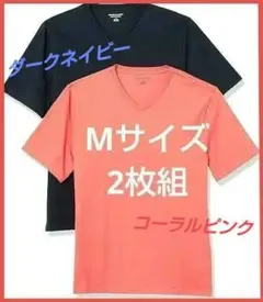 Tシャツ Vネック レギュラーフィット 半袖 メンズ Mサイズ 2点セット