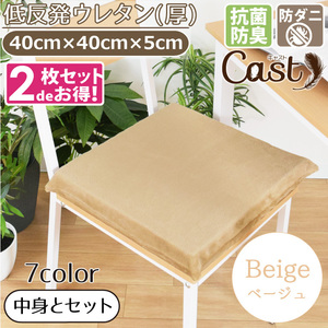 クッション シートクッション 2枚セット 抗菌 防臭 防ダニ 洗える 40×40×5cm ベージュ 低反発ウレタン 厚 キャスト