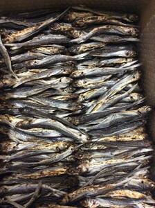 お雑煮やそば用に是非 長崎平戸産　炭火焼きあご　300ｇ　とびうお　飛び魚　あごだし　うどん　和食　そば　鍋　味噌汁