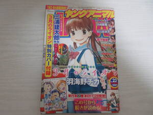 J1955 ヤングアニマル 2008 3月のライオン特別カバー付録(絵・三浦建太郎)/コミックスカバー/羽海野チカ/森下悠里/吉川麻衣子/ベルセルク