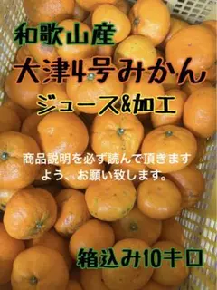 ■和歌山産 大津4号みかん サイズ 混合 ジュース＆加工用 箱込み10キロ■