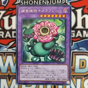 16775☆遊戯王☆ 捕食植物キメラフレシア 1枚 レア LVP3 プレデター・プランツ 数量3