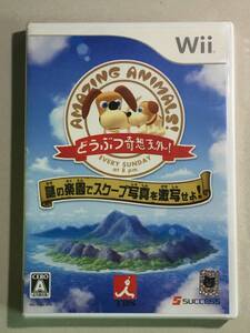 ★☆新品 Wii　どうぶつ奇想天外！謎の楽園でスクープ写真を激写せよ！☆★