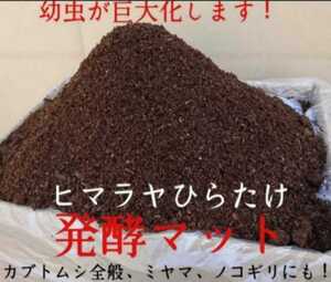 超増量！500リットル【改良版】ヒマラヤひらたけ菌床発酵カブトムシマット！幼虫がビッグサイズになります！栄養価抜群 産卵マットにも最高