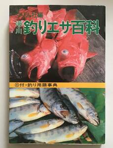 海・川　釣りエサ百科　つり人社　釣り用語辞典