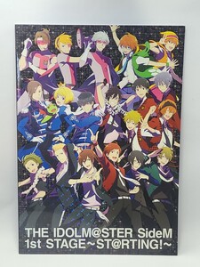 THE IDOLM＠STER SideM 1st STAGE ～ST＠RTING!～　パンフレット　声優　イベント　写真集　アイマス