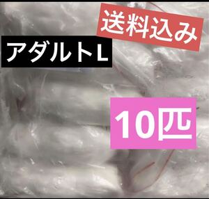 冷凍アダルトマウスLサイズ　10匹セット　約8cm　アダルトマウス　冷凍餌　同梱可関東・信越・北陸・中部・関西・中国・四国・九州無料