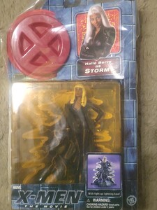 toybiz X-MEN 未開封 ストーム storm ハル・ベリー marvel xmen トイビズ