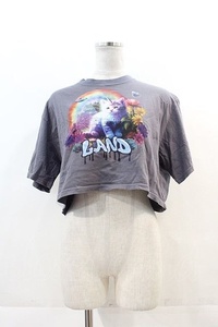 LAND by MILKBOY / UNICORN CAT TEE グレー I-24-11-22-008-MB-TO-HD-ZT336