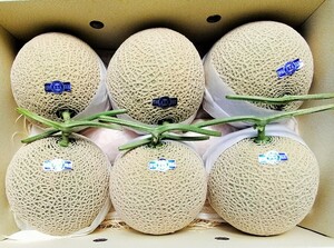 ☆高知産☆１０，０Kg☆　マスクメロン　６玉入り☆　　秀品☆