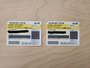 ANA★全日空 株主優待券 2枚セット 有効期間2024年11月30日搭乗まで